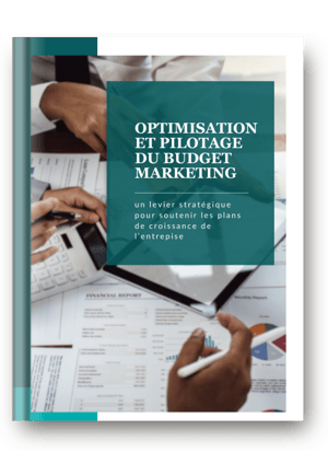 Optimisation budget MKT de travail (1)
